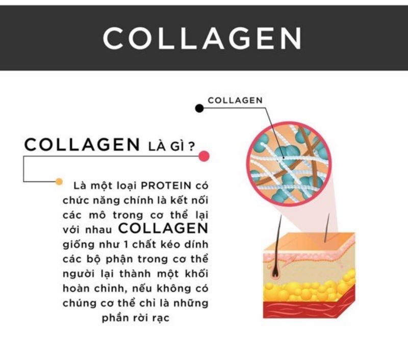 Collagen giúp da săn chắc, tươi trẻ. Ảnh: Internet
