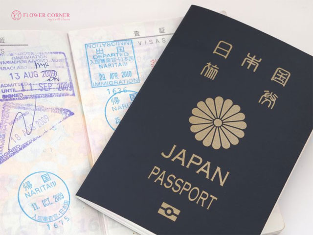Hình ảnh hoa cúc vàng in trên hộ chiếu của Nhật Bản