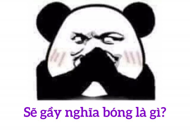 se-gay-la-gi-nghia-bong