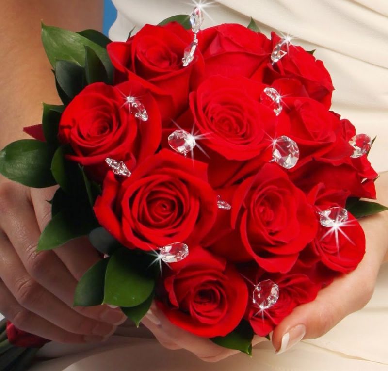 Những đóa hoa hồng cùng những câu chúc 8/3 bằng tiếng anh tặng người yêu, bạn gái sẽ giúp các cánh mày râu thể hiện tình cảm của mình