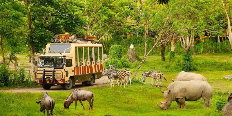 Vinpearl Safari Phú Quốc được coi là thiên đường bảo tồn động vật hoang dã đầu tiên tại Việt Nam