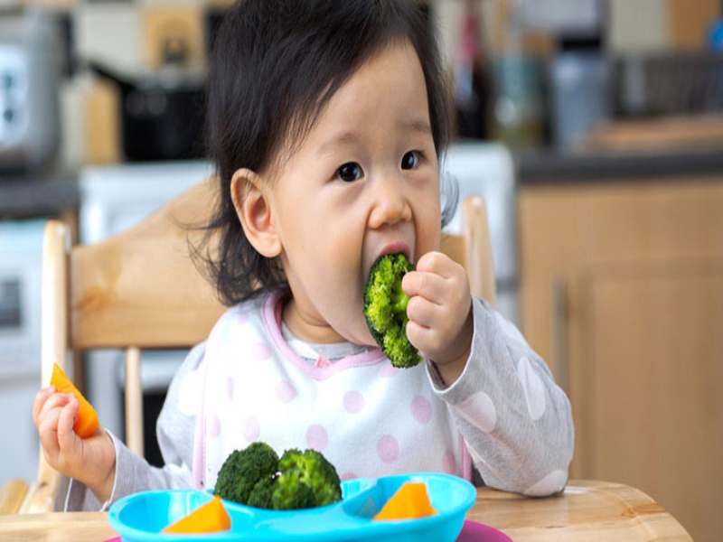 Bổ sung thêm rau xanh có thể mang đến rất nhiều lợi ích tuyệt vời cho phổi và quá trình phát triển của con