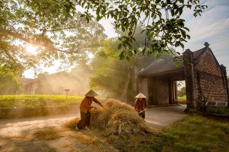 Khám phá làng cổ Đường Lâm yên bình, quen thuộc