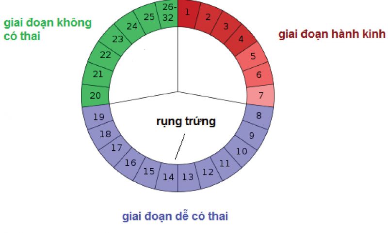 Làm thế nào để mang thai bé gái tự nhiên?