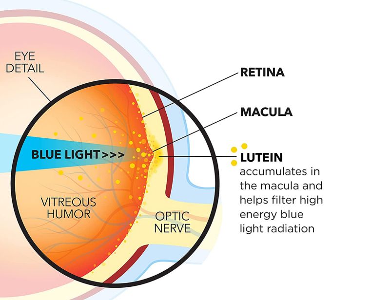 Lutein và Zeaxanthin giúp chống thoái hóa, lão hóa mắt