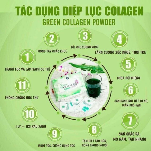 Tác dụng của diệp lục Collagen. Ảnh: Internet