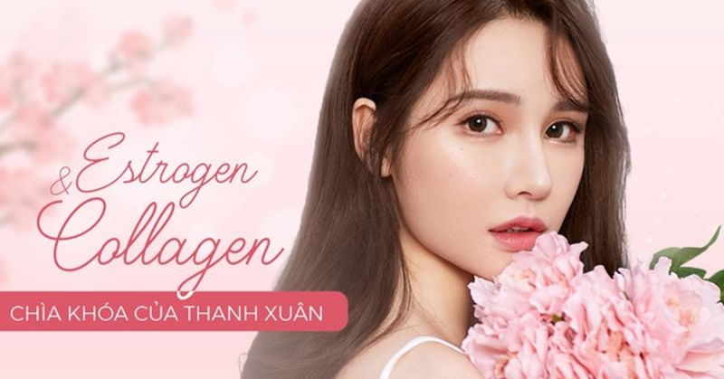 TPCN hỗ trợ nội tiết bổ sung estrogen tự nhiên giúp điều hòa kinh nguyệt