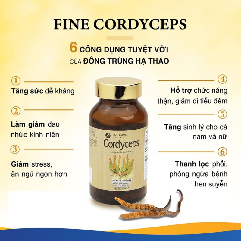 Điểm nổi bật của đông trùng hạ thảo Nhật Bản Fine Japan Cordyceps 120 viên