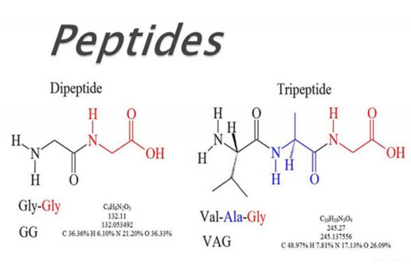 Sản phẩm chứa Peptide