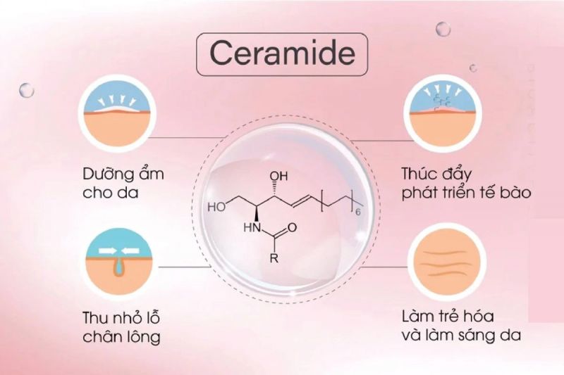 Sản phẩm chứa Ceramide