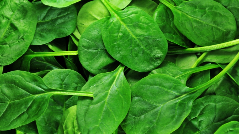 rau xanh còn chứa hoạt chất thylakoid, giúp kiểm soát cân nặng tự nhiên, an toàn