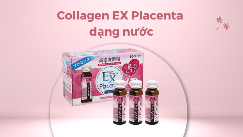 Nước uống tinh chất nhau thai Itoh EX Placenta là sản phẩm collagen đặc biệt, với sự kết hợp tỷ lệ hoàn hảo giữa giữa Collagen, CoEnzyme