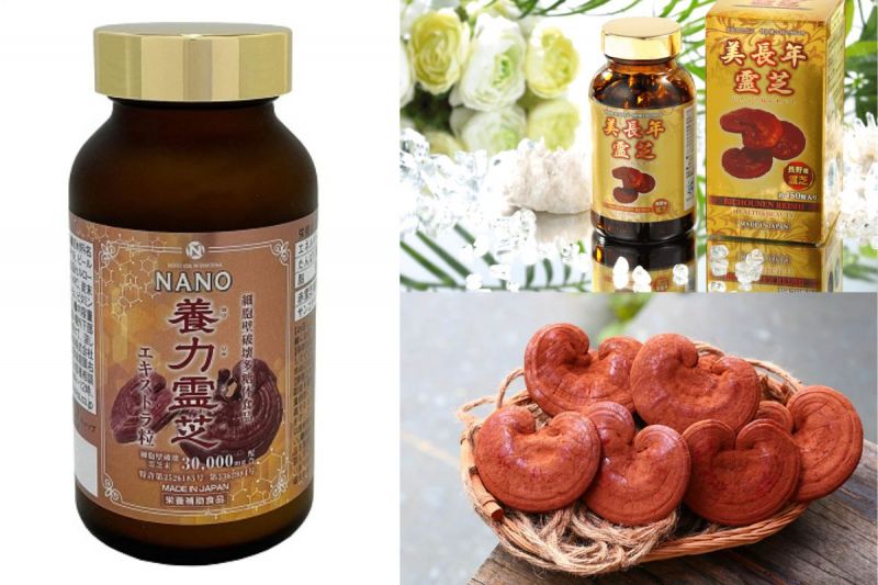 Nấm linh chi đỏ Bichounen Reishi 