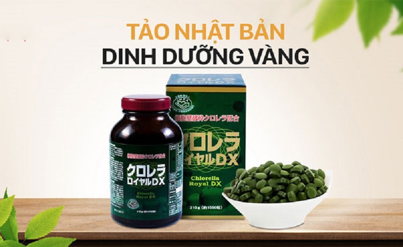 Hiêu quả sử dụng Tảo lục hoàng gia Chlorella Royal DX có tốt không là điều đã được kiểm chứng từ người người sử dụng