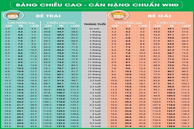 Bảng chiều cao của trẻ nhỏ theo tiêu chuẩn WHO