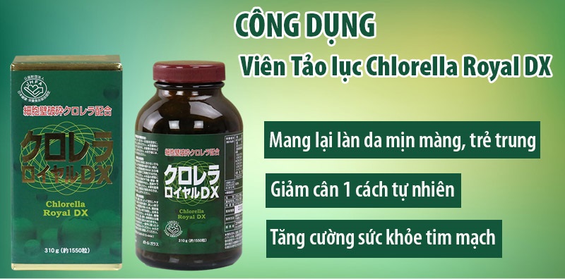 Công dụng của Tảo lục Chlorella Royal DX