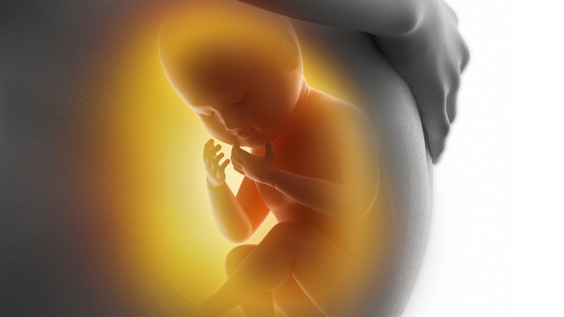  Thai nhi đạp nhiều khi nằm ngửa có thể là do bé đang lớn dần lên và cảm thấy không gian trong bụng mẹ chật chội 