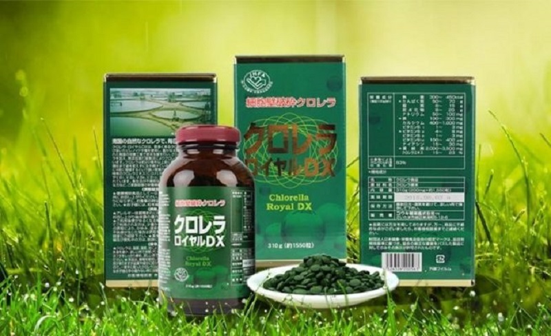 Tảo lục Chlorella Nhật Bản