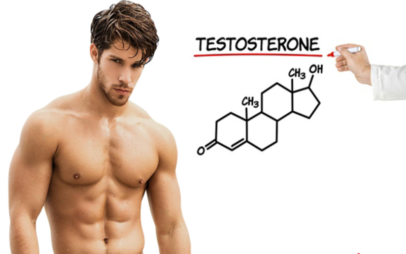 Nội tiết tố nam testosterone 