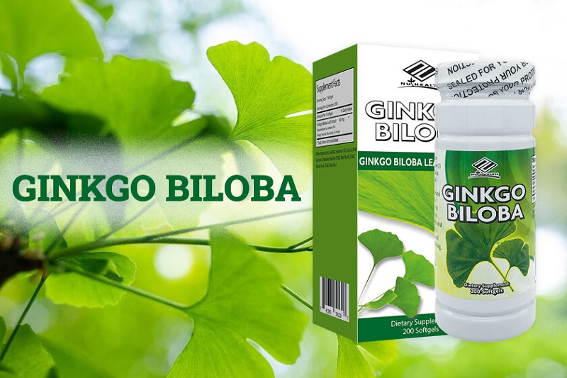 Huyết áp cao uống Ginkgo Biloba được không