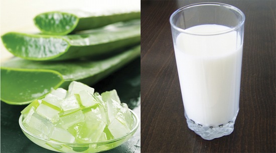 Nha đam sữa tươi là hỗn hợp dưỡng trắng da đơn giản, dễ thực hiện ở nhà