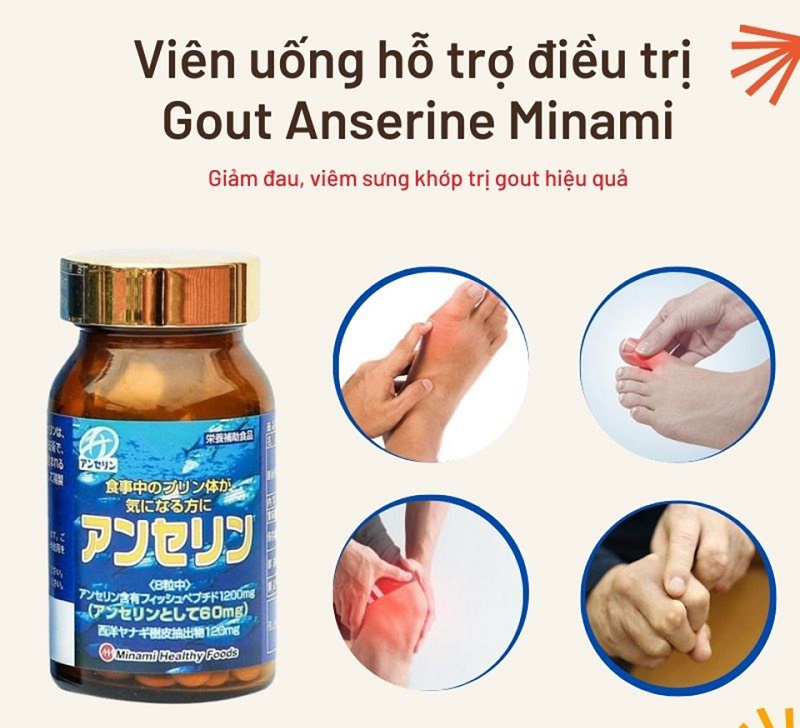 Viên uống hỗ trợ điều trị Gout Anserine Minami 240 viên