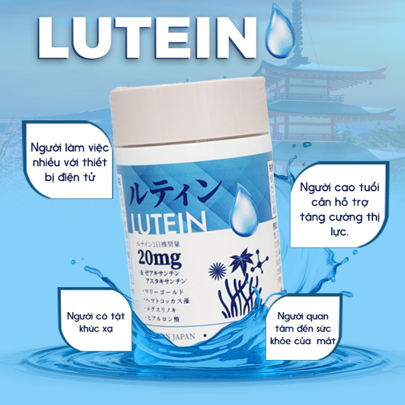 Đối tượng sử dụng