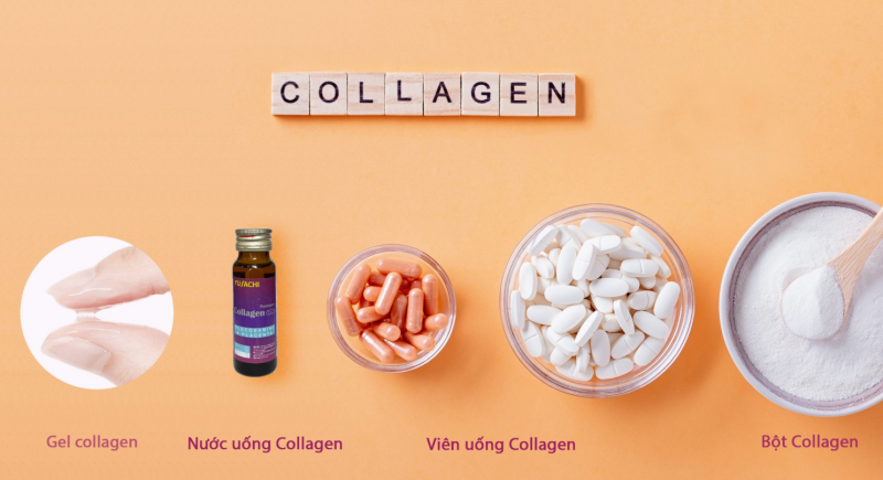 Các loại collagen thường gặp