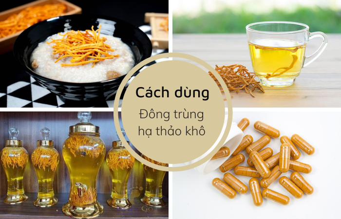 Cách dùng đông trùng hạ thảo Cordyceps Sinensis