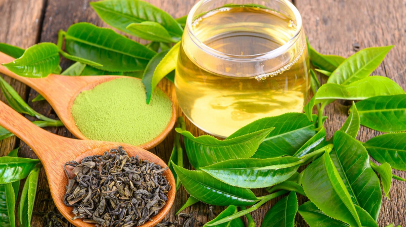 Trà xanh chống oxi hóa, giải bia rượu