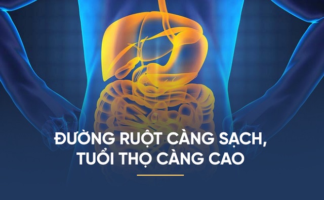 Thải độc cơ thể, làm sạch hệ tiêu hóa