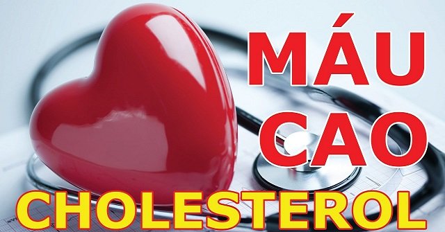 Giảm cholesterol, hỗ trợ sức khỏe tim mạch