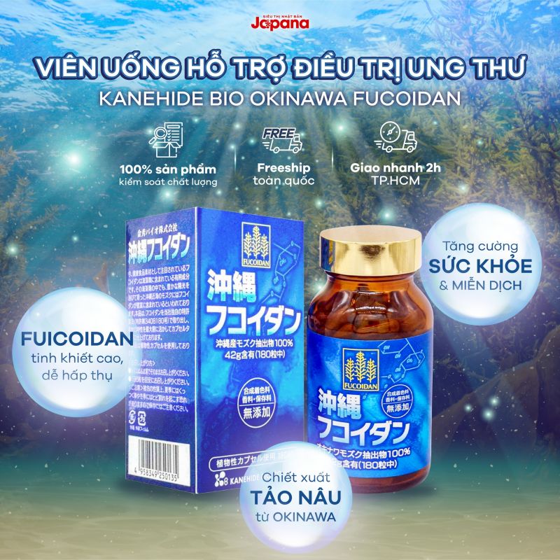 Fucoidan xanh có tác dụng tăng cường đề kháng, phòng ngừa nguy cơ ung thư ở người trưởng thành