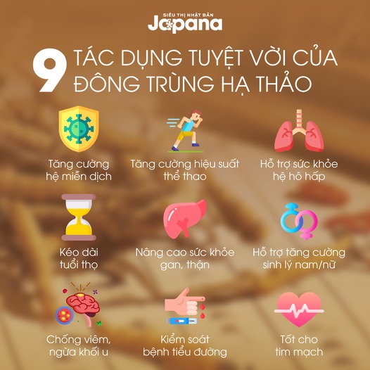 Tác Dụng Của Đông Trùng Hạ Thảo Đối Với Nữ Giới