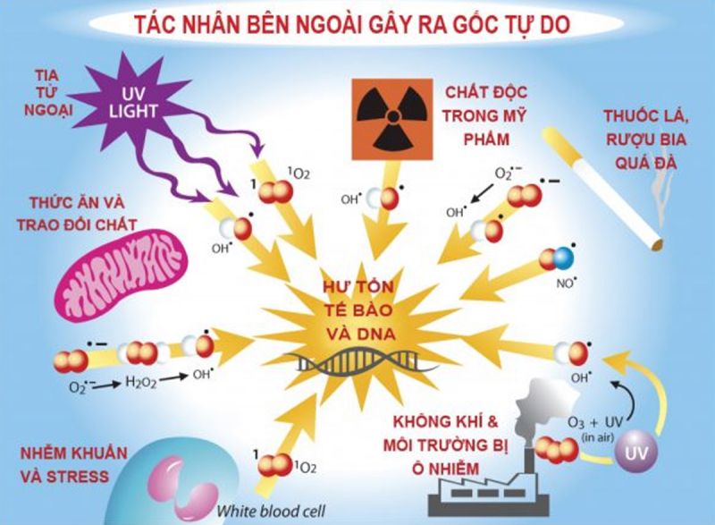 Thường xuyên tiếp xúc với ánh nắng mặt trời có thể tăng nguy cơ ung thư da