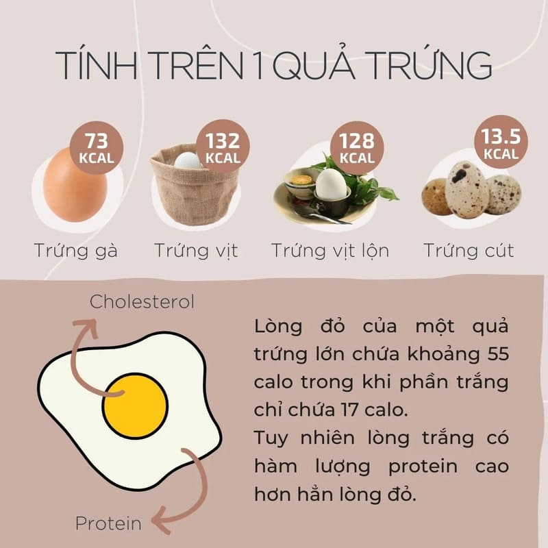 Hàm lượng dinh dưỡng dồi dào trong các loại trứng