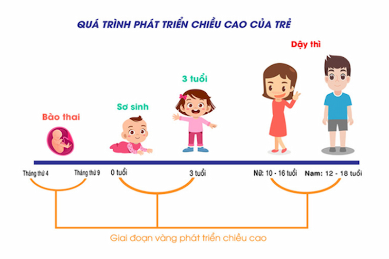 Các giai đoạn phát triển của bé diễn ra từ 0-10 tuổi