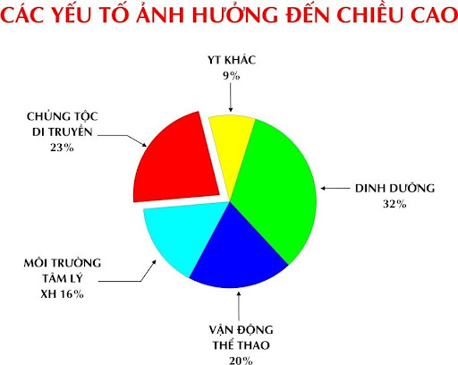 các yếu tố tác động đến chiều cao của trẻ