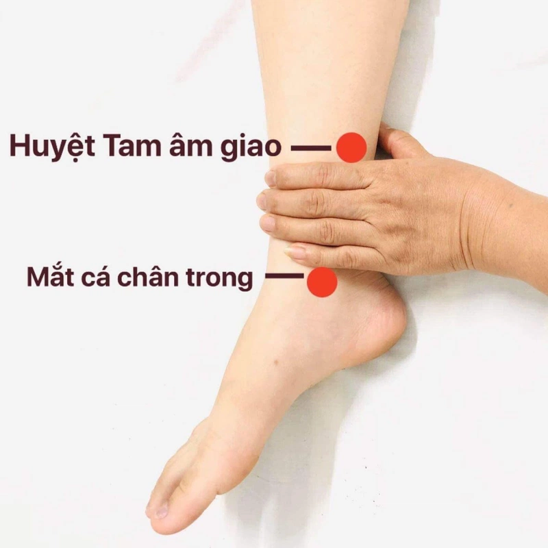 Bấm huyệt giải độc gan tam âm giao