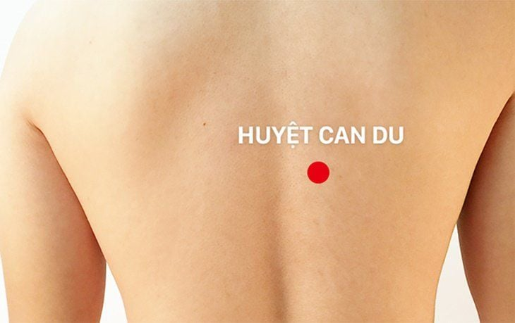 Vị trí của huyệt can du