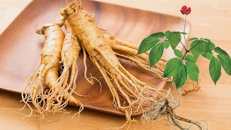 Bị viêm gan B hạn chế bổ sung nhân sâm