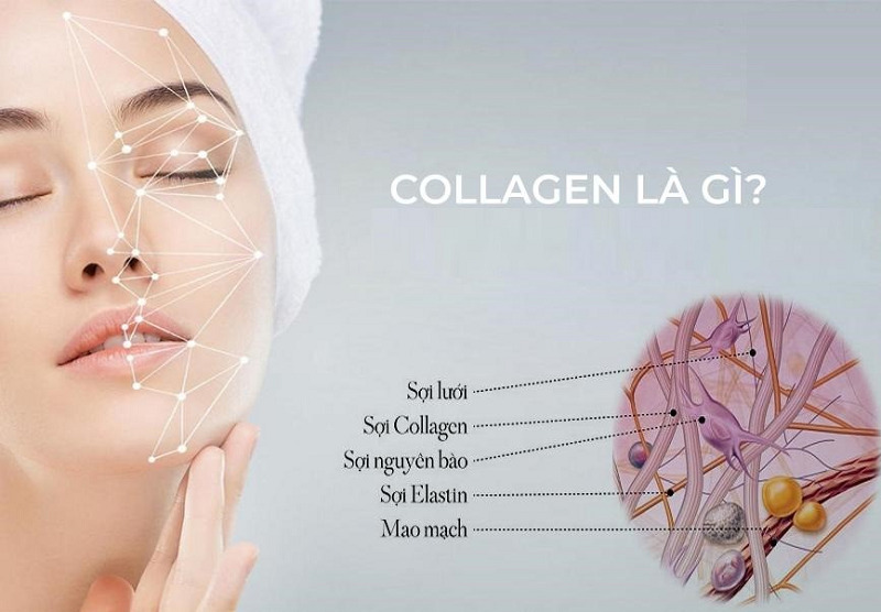 cách tái tạo collagen cho da mặt