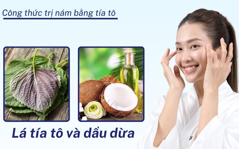 trị nám bằng lá tía tô và dầu dừa 
