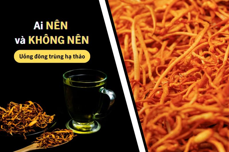 người nên sử dụng đông trùng hạ thảo