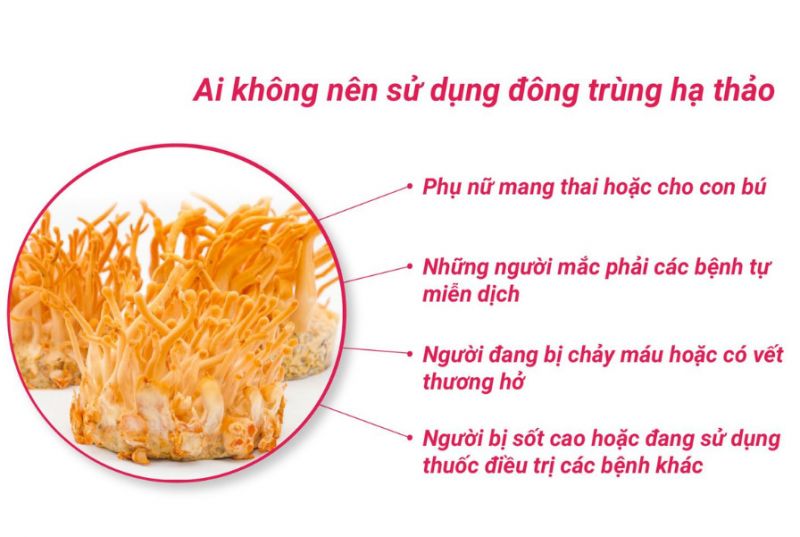 nhóm người không nên sử dụng đông trùng hạ thảo