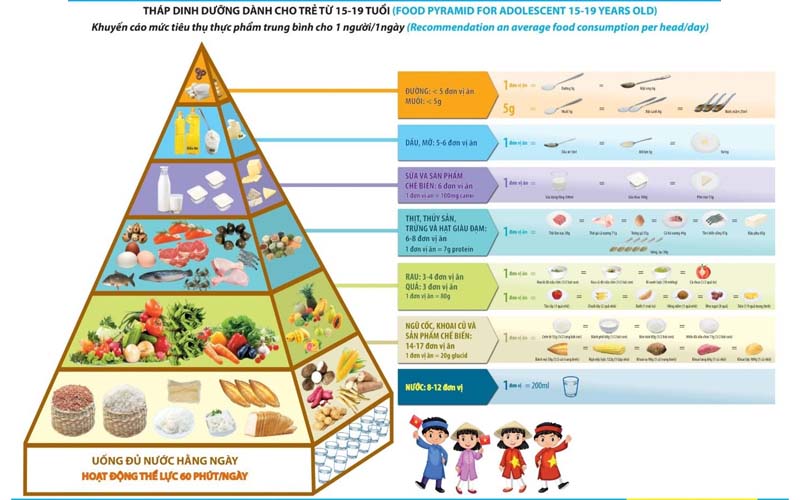 Tháp dinh dưỡng cần cho một bữa ăn hàng ngày để phát triển chiều cao