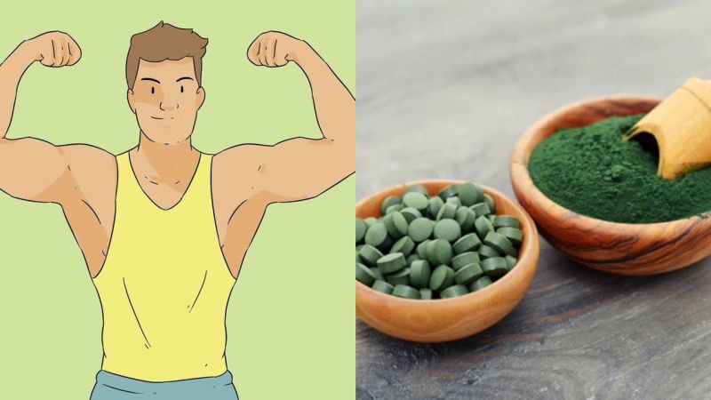 tác dụng của tảo lục chlorella