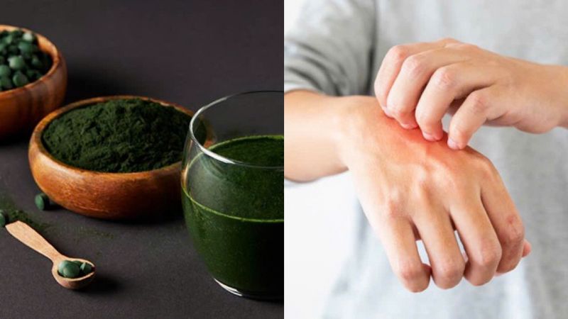 tảo chlorella là gì