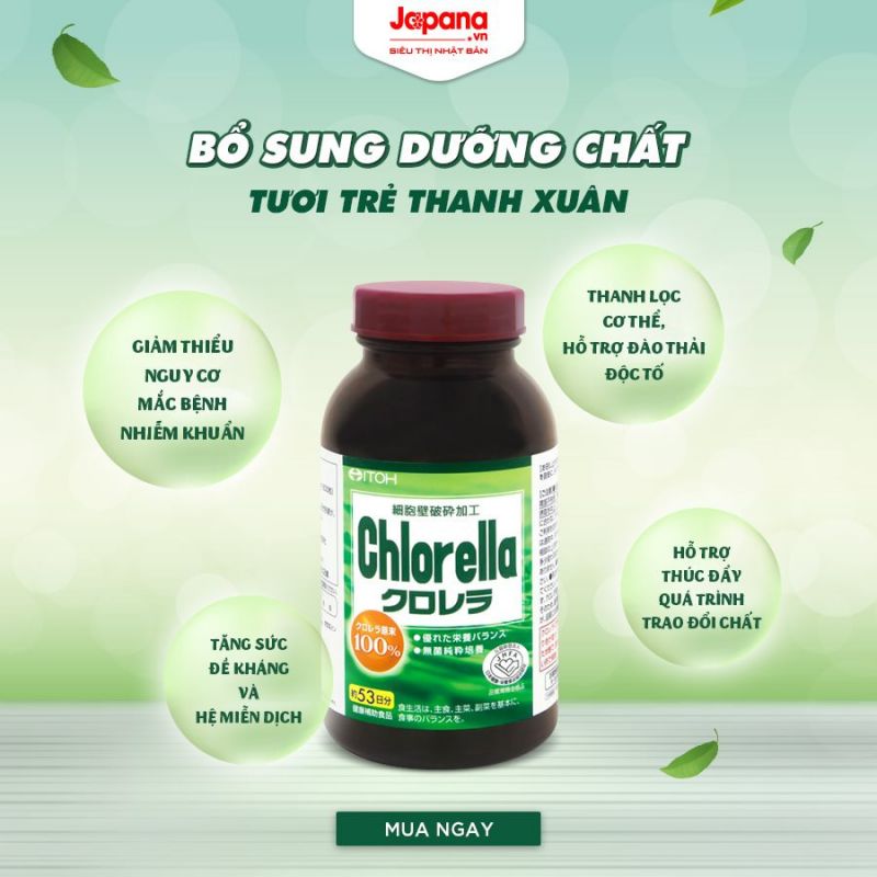 Sản phẩm tảo lục chlorella chính hãng