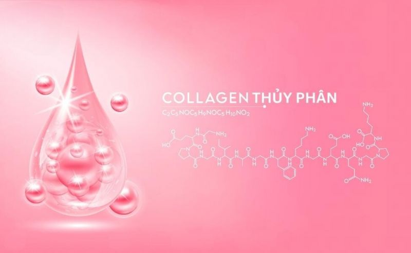 Collagen thủy phân là gì? Collagen thủy phân có phân tử nhỏ dễ hấp thụ